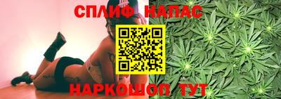 мдпв Кимры