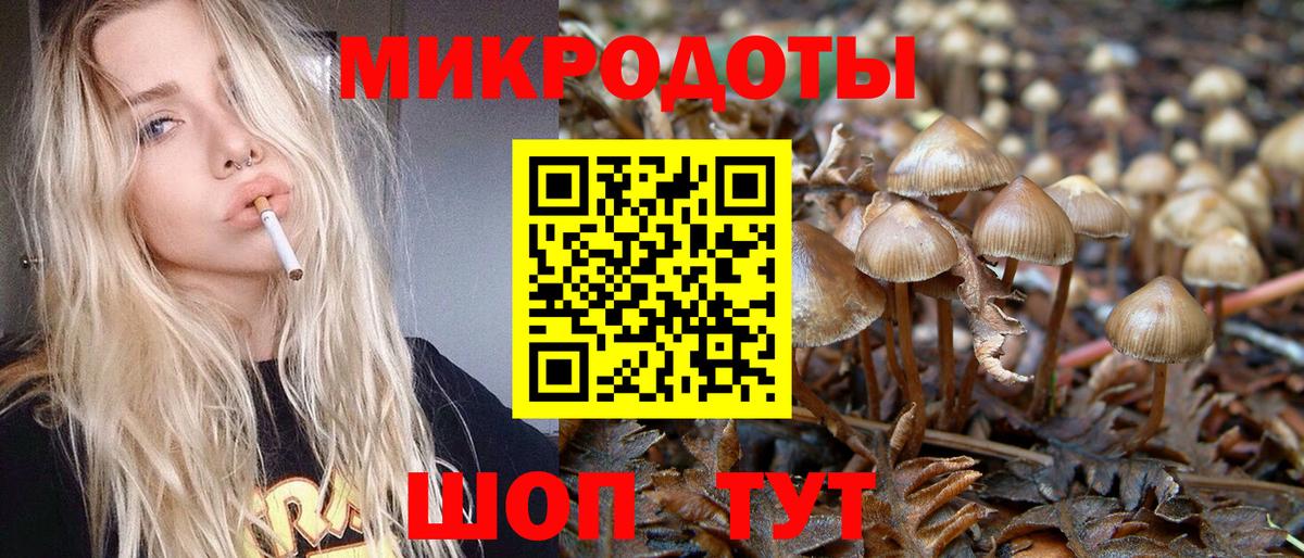 Куйбышев  Псилоцибиновые грибы Psilocybe  Вход с VPN 